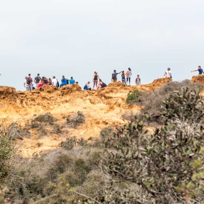 Near Razor Point Trail