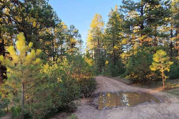 Upper House Creek Road