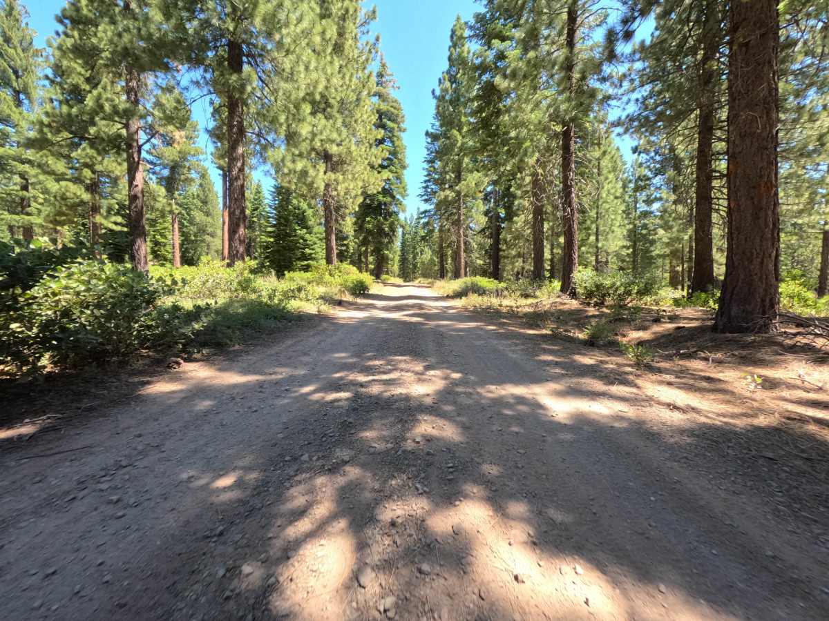 Bald Mountain Road photo 2