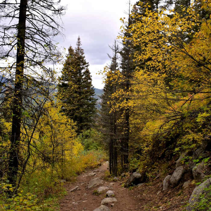 Near Goose Creek Falls