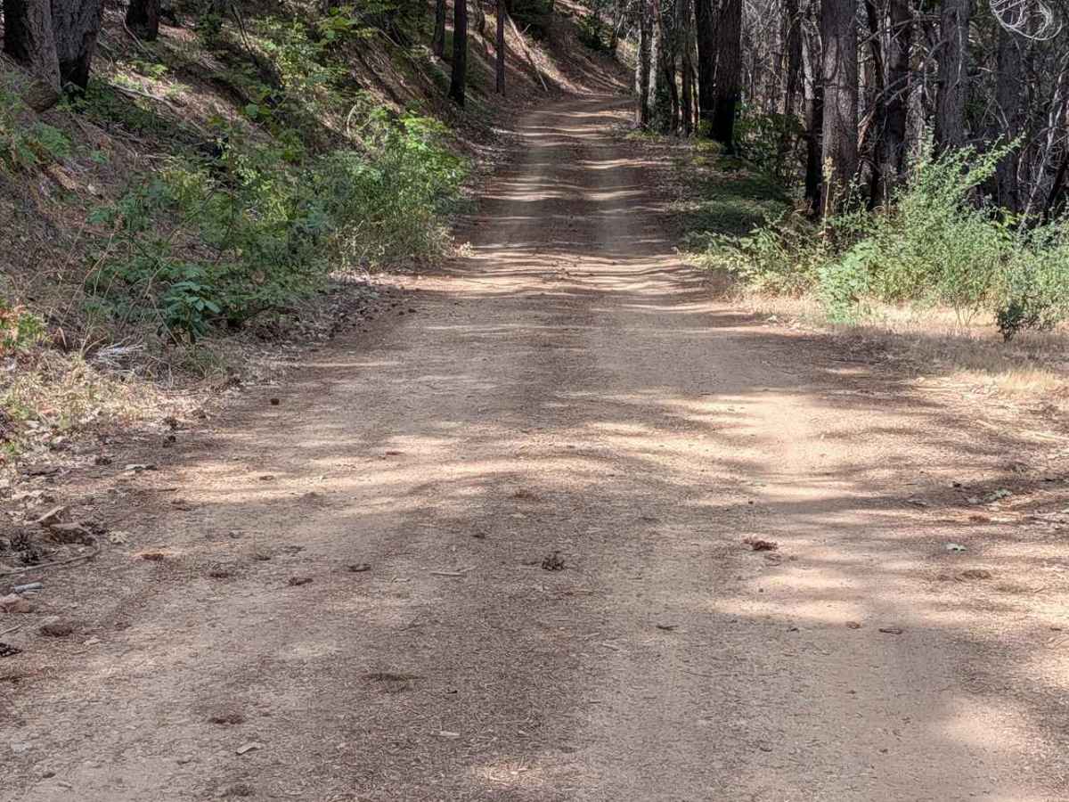 Soldier Creek Loop - FS 33N48  photo 3