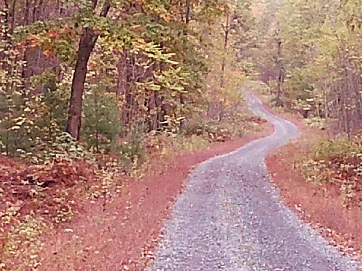 Hancock Road trail photo