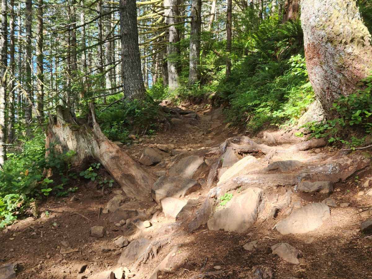Capitol Peak trail photo