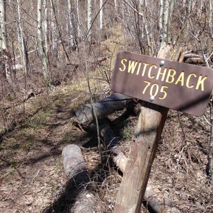 Near Switchback Trail #705