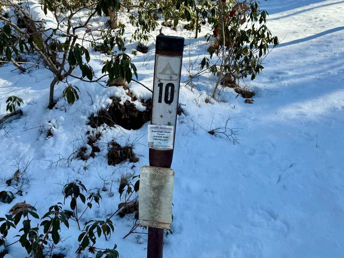 Duncan Trail photo 6