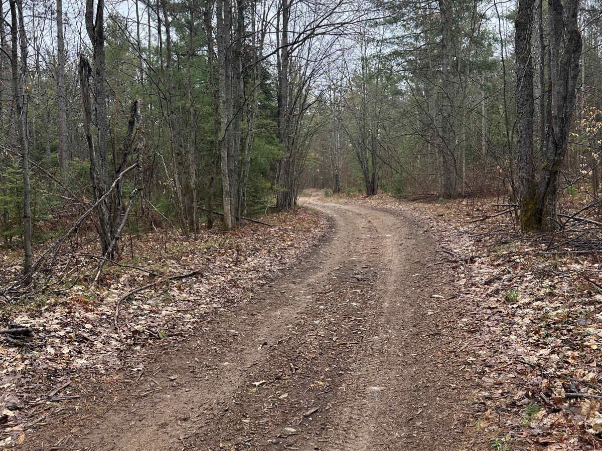 AuSable Trail photo 2
