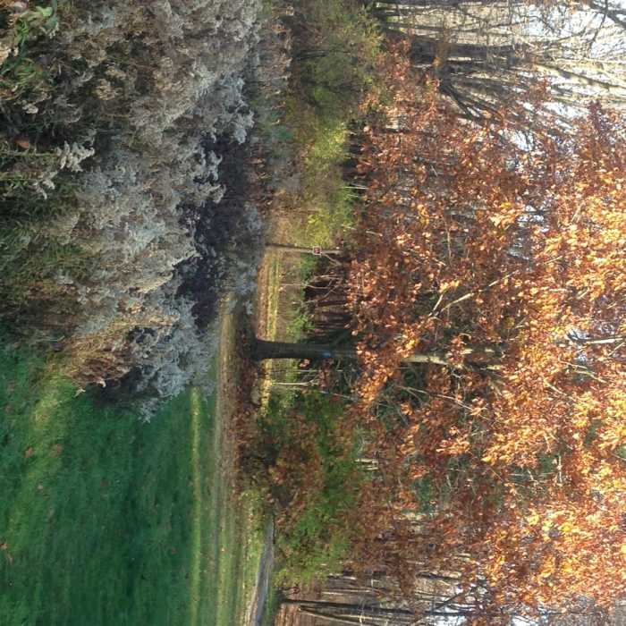 Near North Country Trail Out and Back