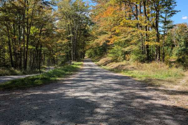 Laurel Fork Overlook