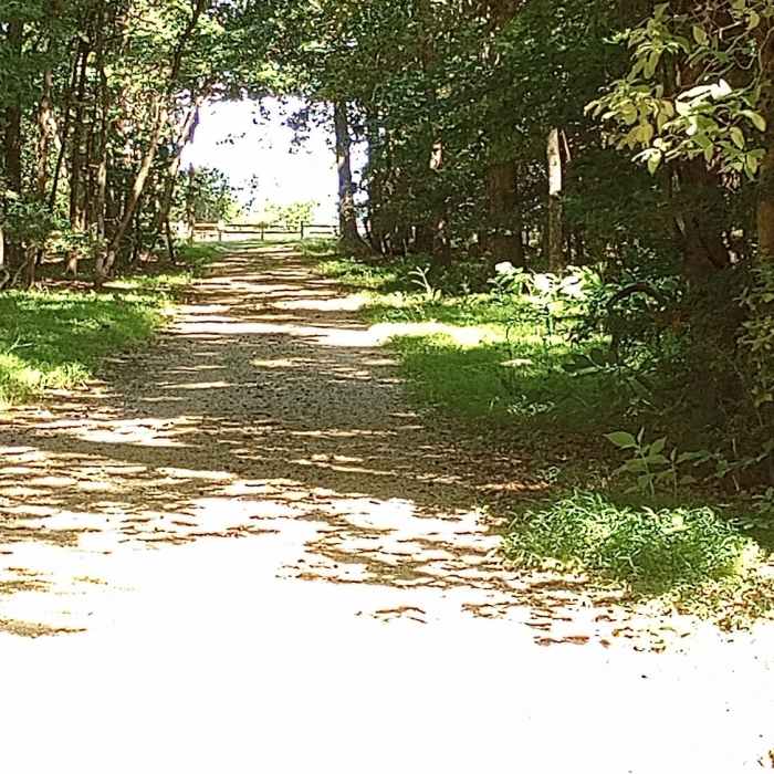 Heading to the Potomac RIver overlook from the Caledon Marsh Trail Near Caledon West Side to the Marsh