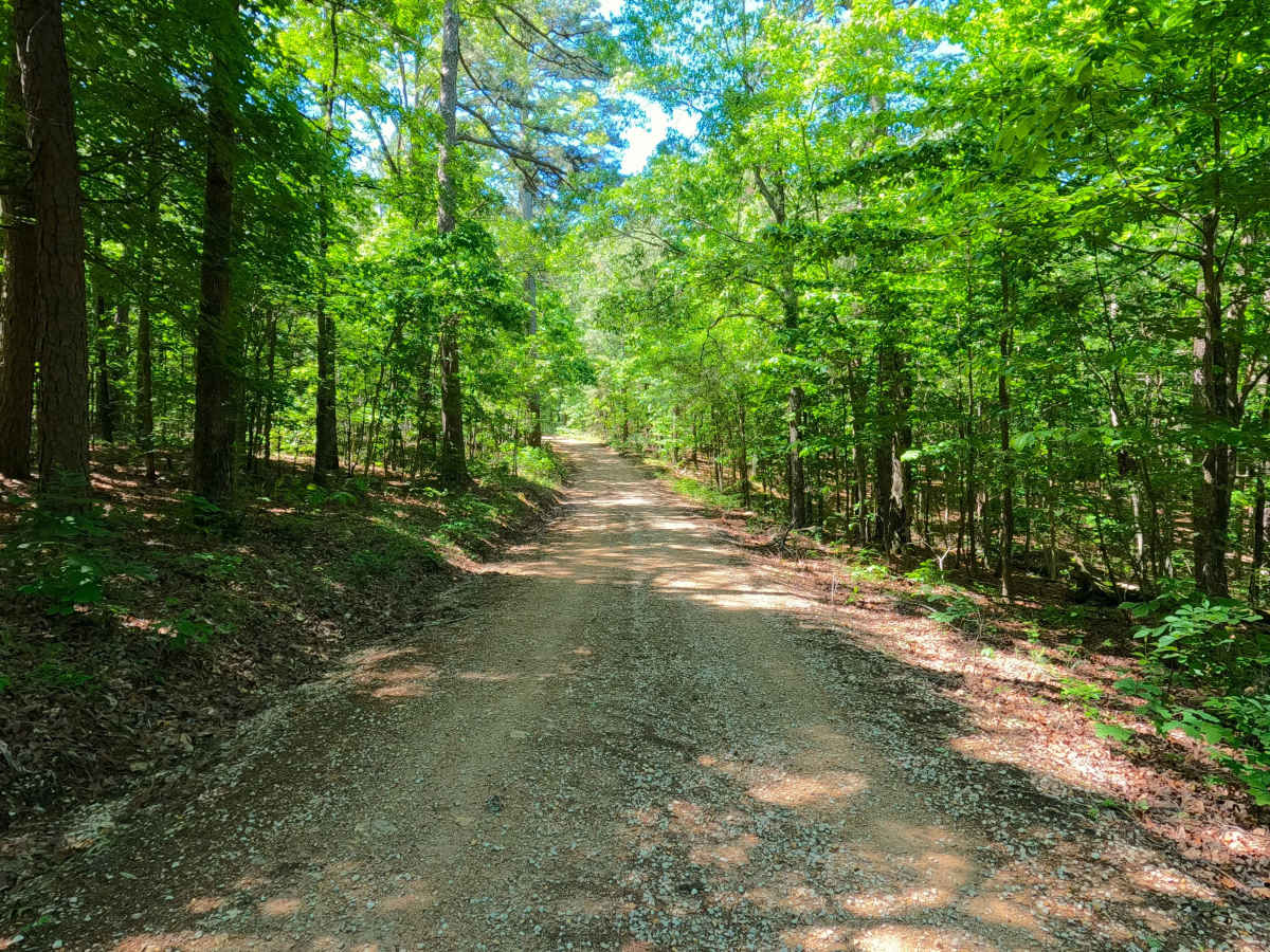 Bradley Ridge - FS 3521 photo 5