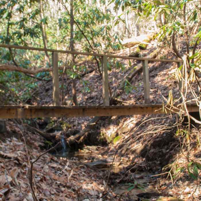 Near Upper Whitewater Falls Hike
