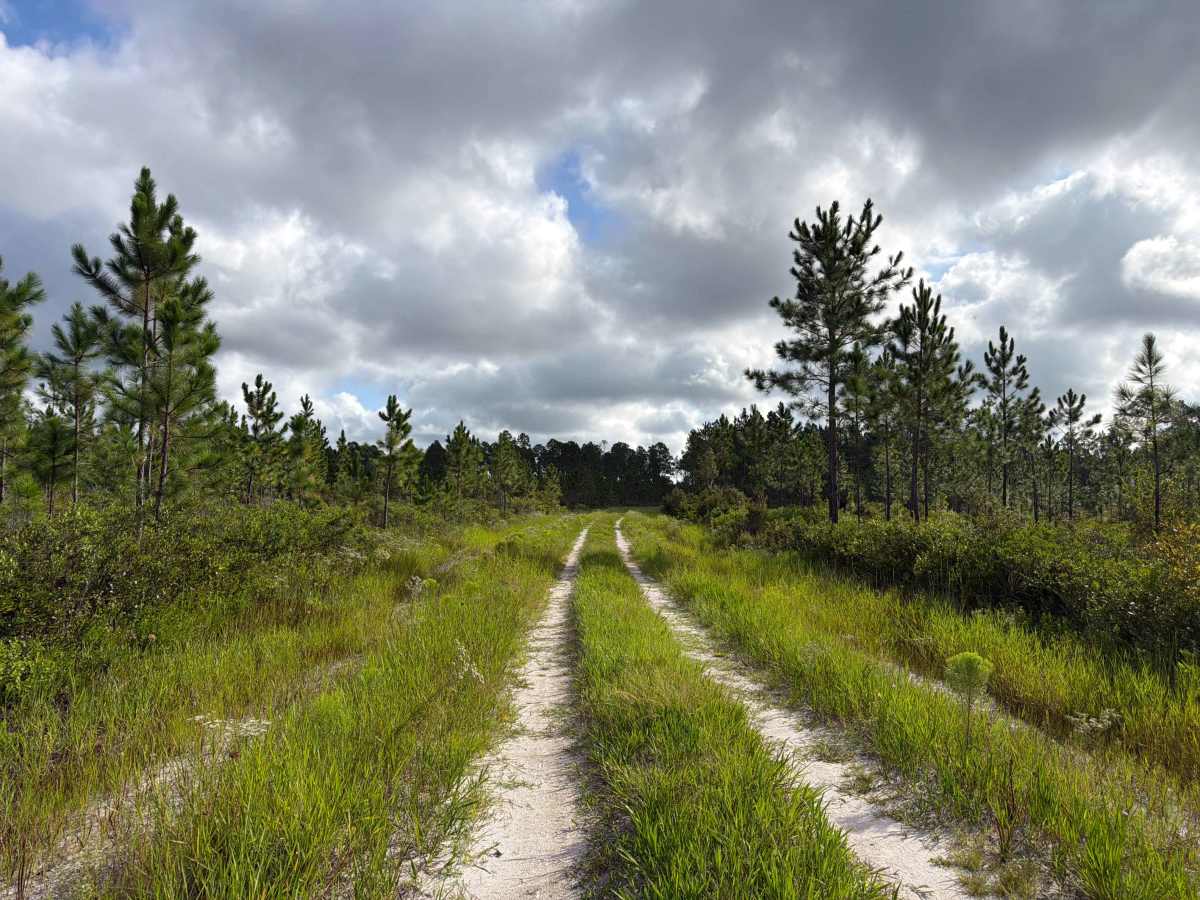 Little Bear Bay - FS 221 photo 3