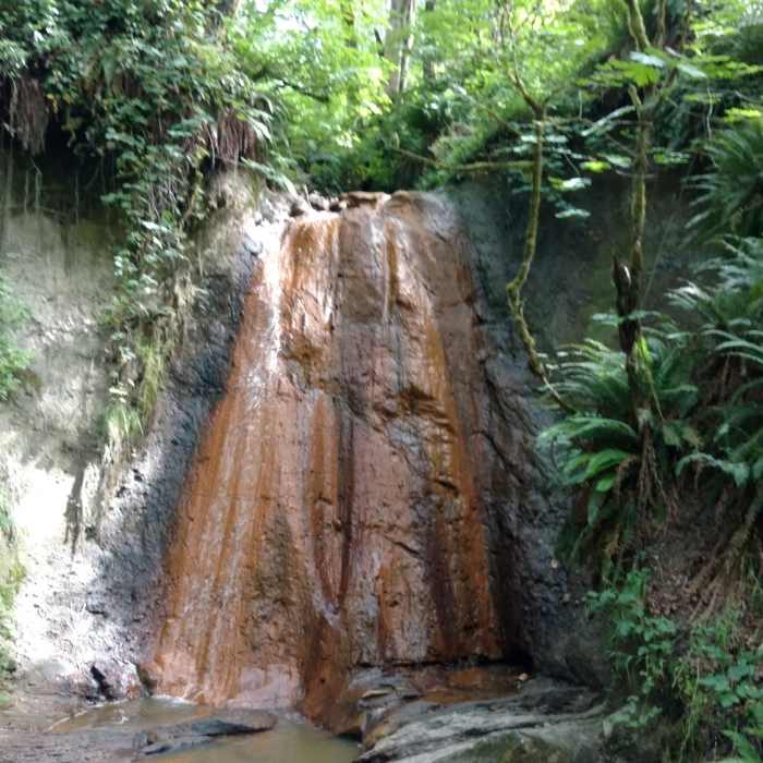 Near Coal Creek Trail