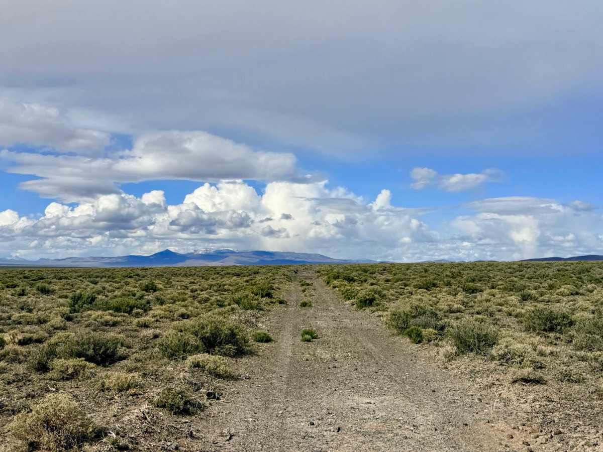 Lower Canyon Cutover Trail - BLM 288 photo 6