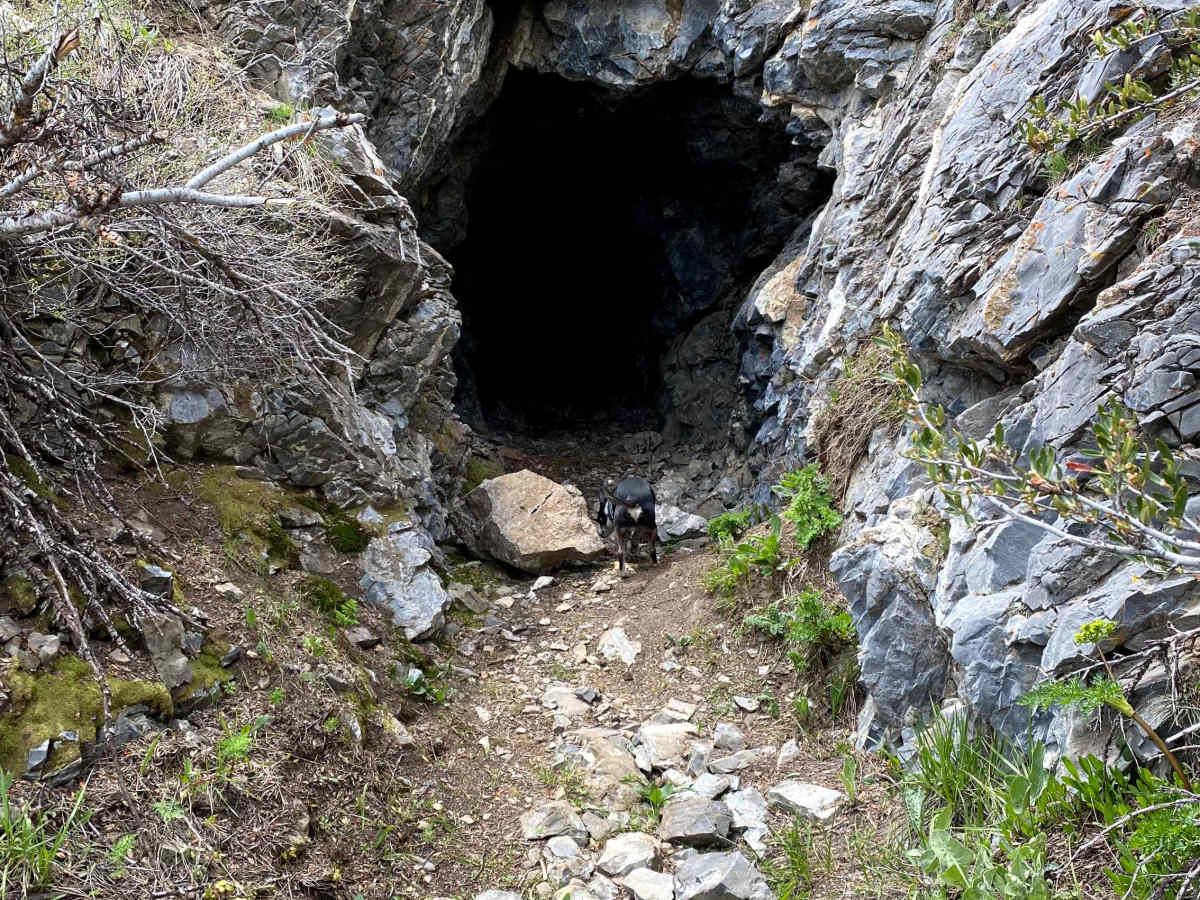 Miner Canyon/Kimbell Mine photo 5