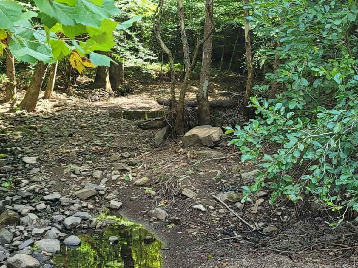 Muddy Creek WMA photo 2