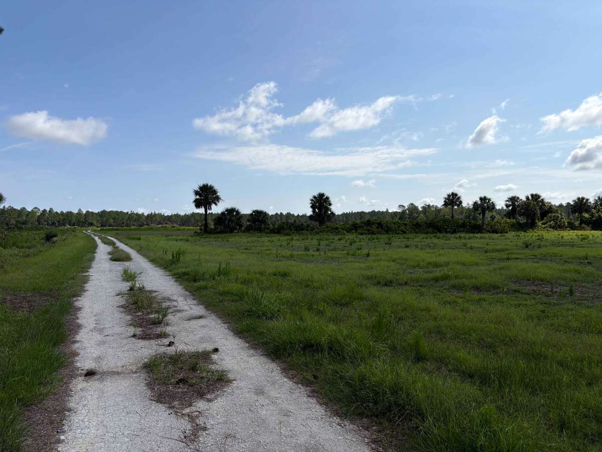 Dove Field Road photo 4