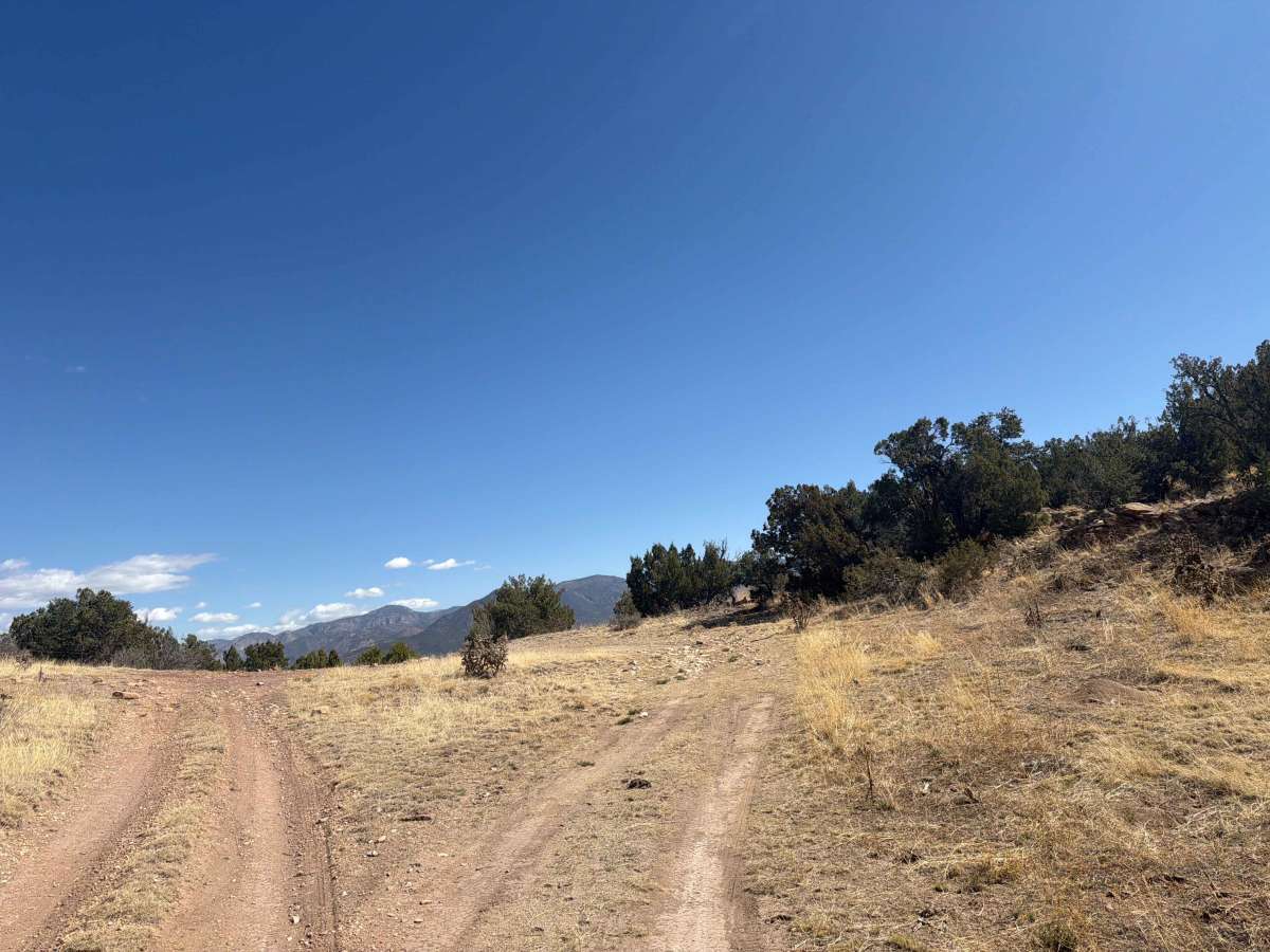 BLM 5935E photo 3