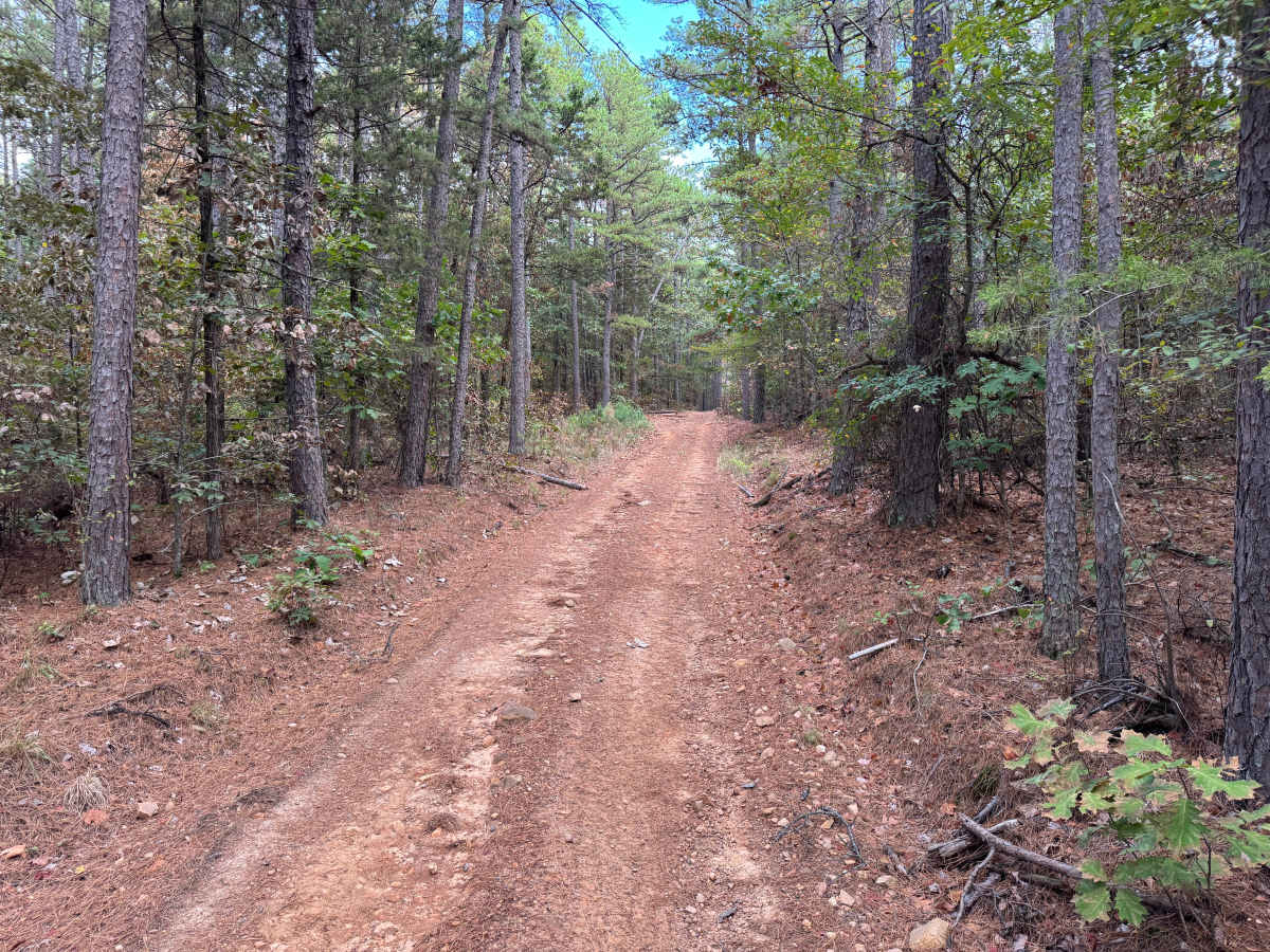 East Sing photo 6