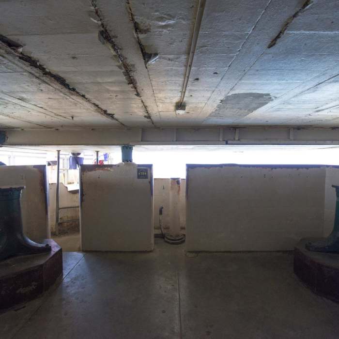 Near Diamond Head Crater Hike