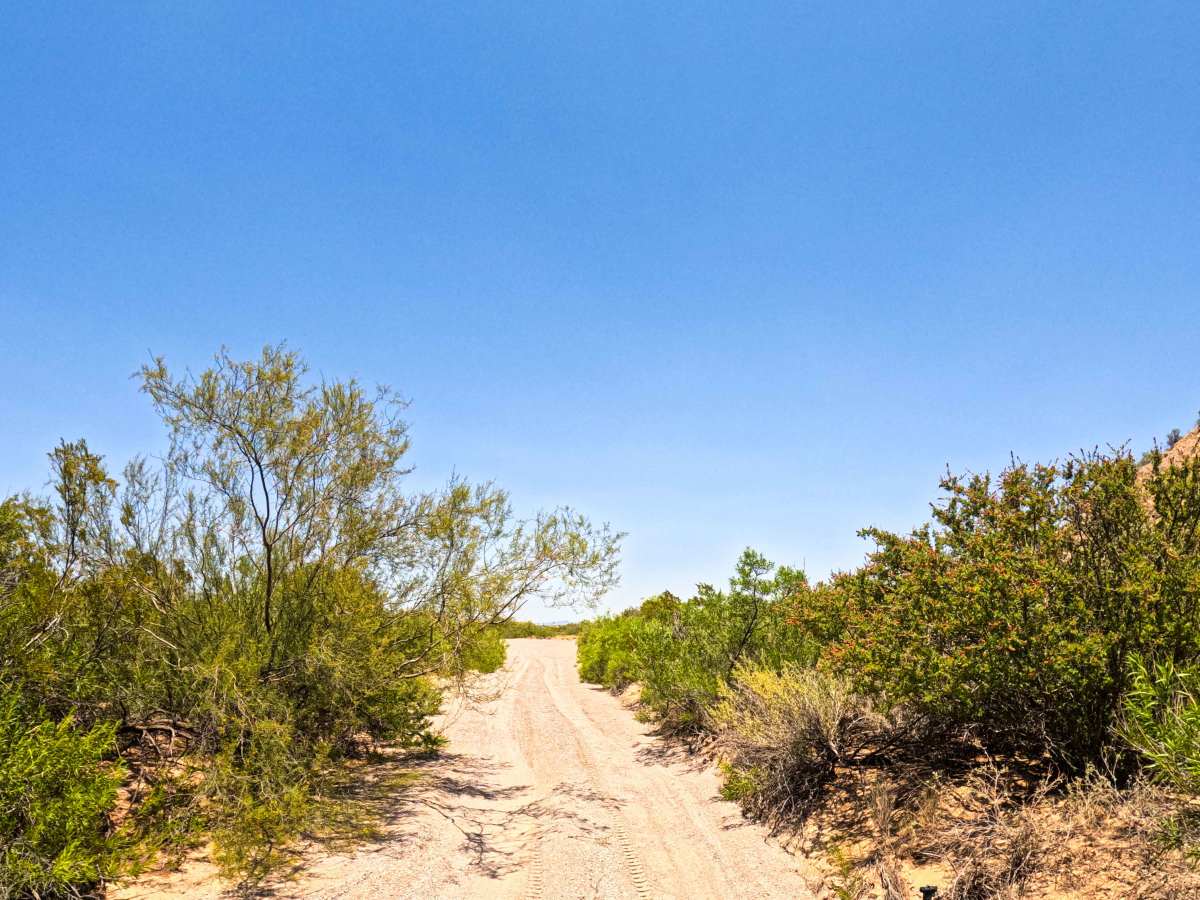Desert Wind Way photo 4