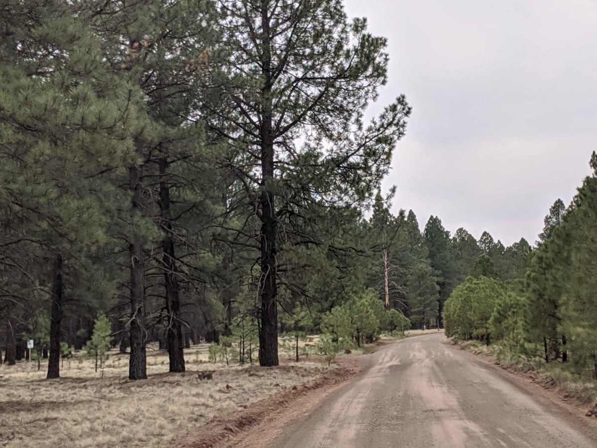 Crowley Road photo 3