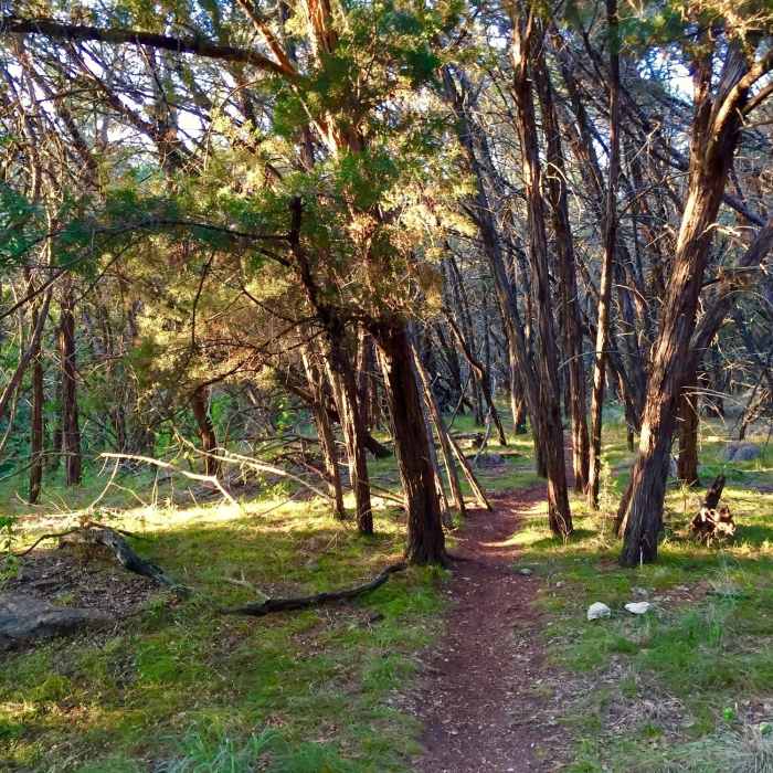 Near Hamilton Greenbelt & Hurst Hollow Preserve