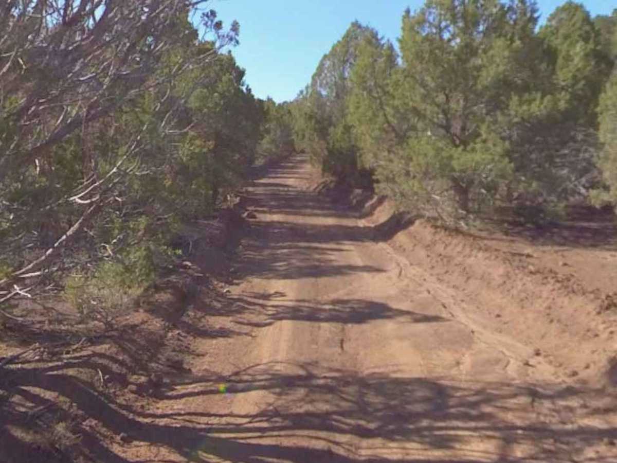 County Road 3469-PST42 trail photo