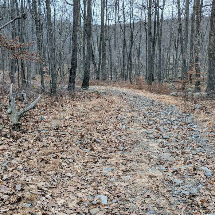 Near Lake Hopatcong Trail: Morris Canal to Prospect Point