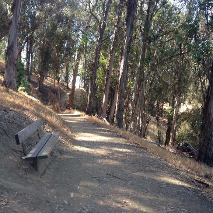 Near EBRPD Trails Challenge 2017: Anthony Chabot