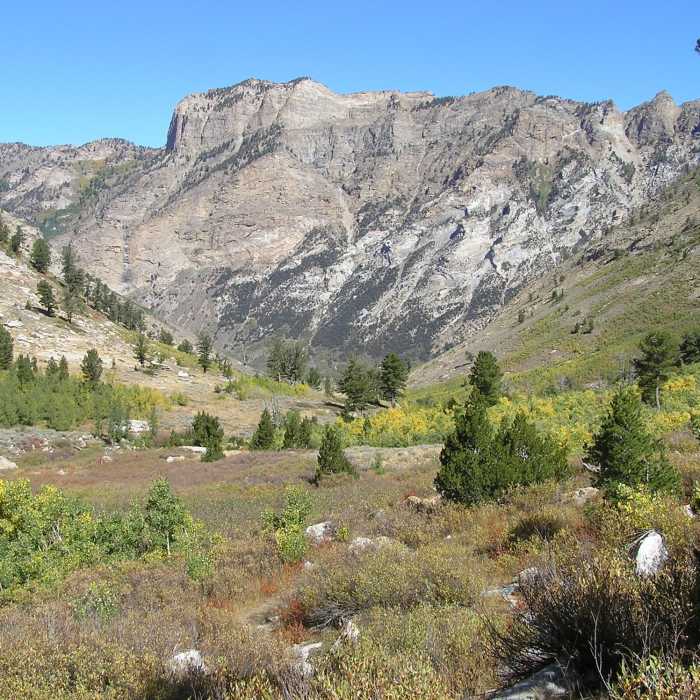 Near Thomas Creek Trail