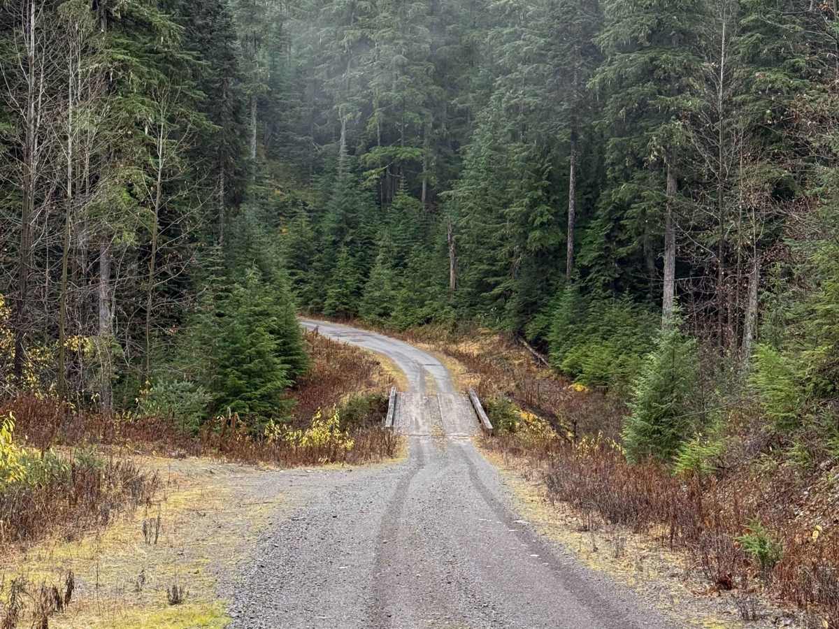 Kleanza Forest Service Road photo 5