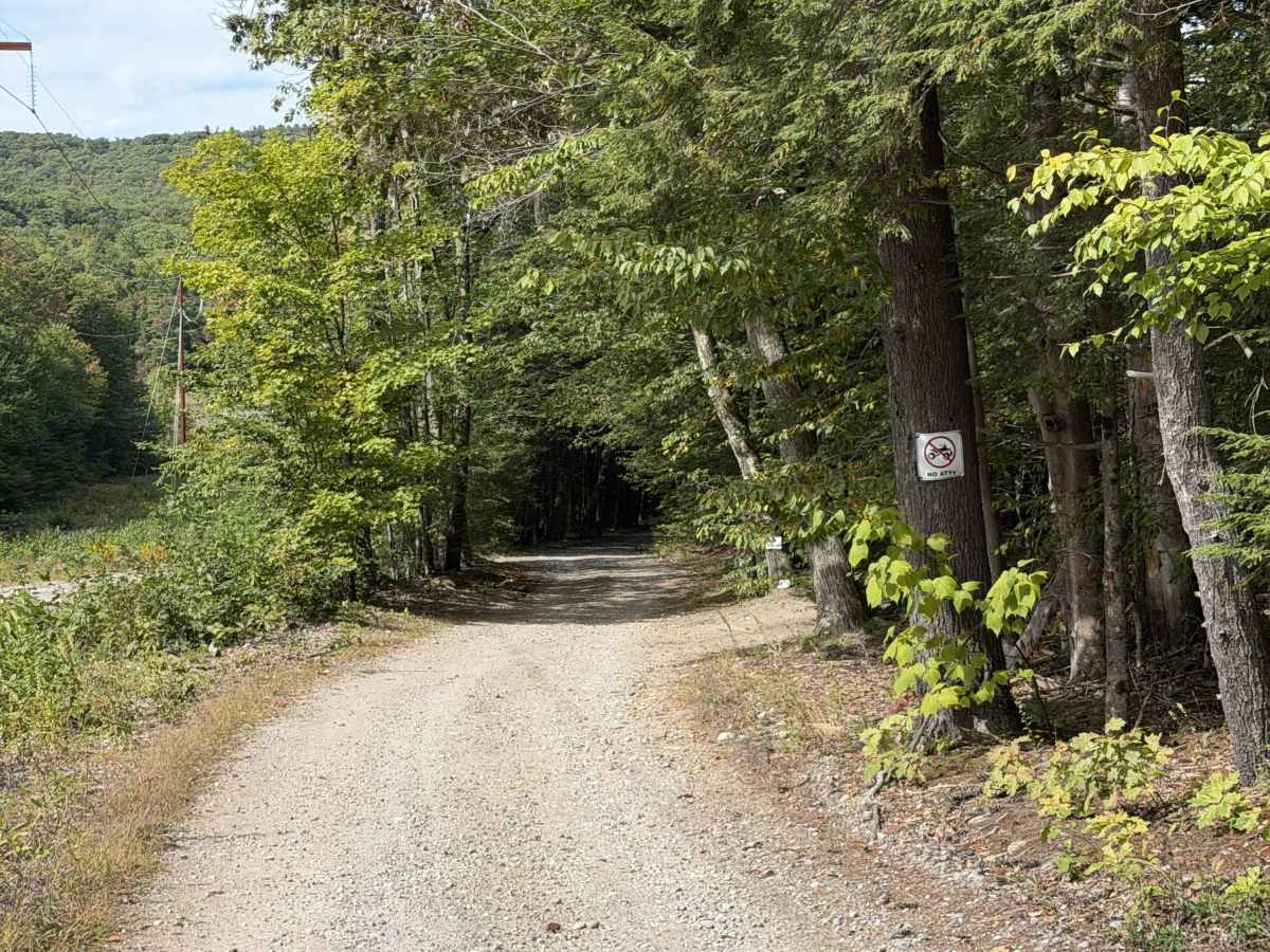 Mountain Road trail photo