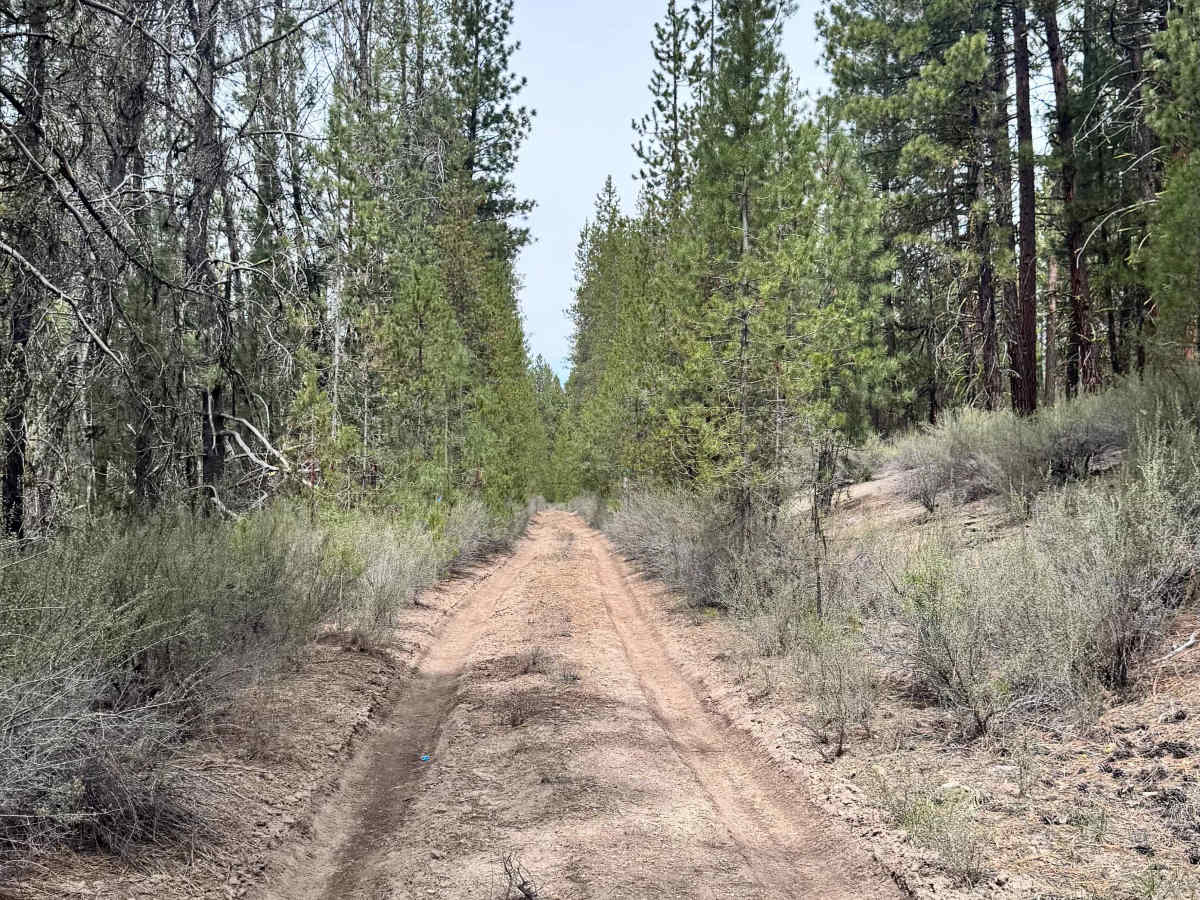 Wocus Bay Road photo 5