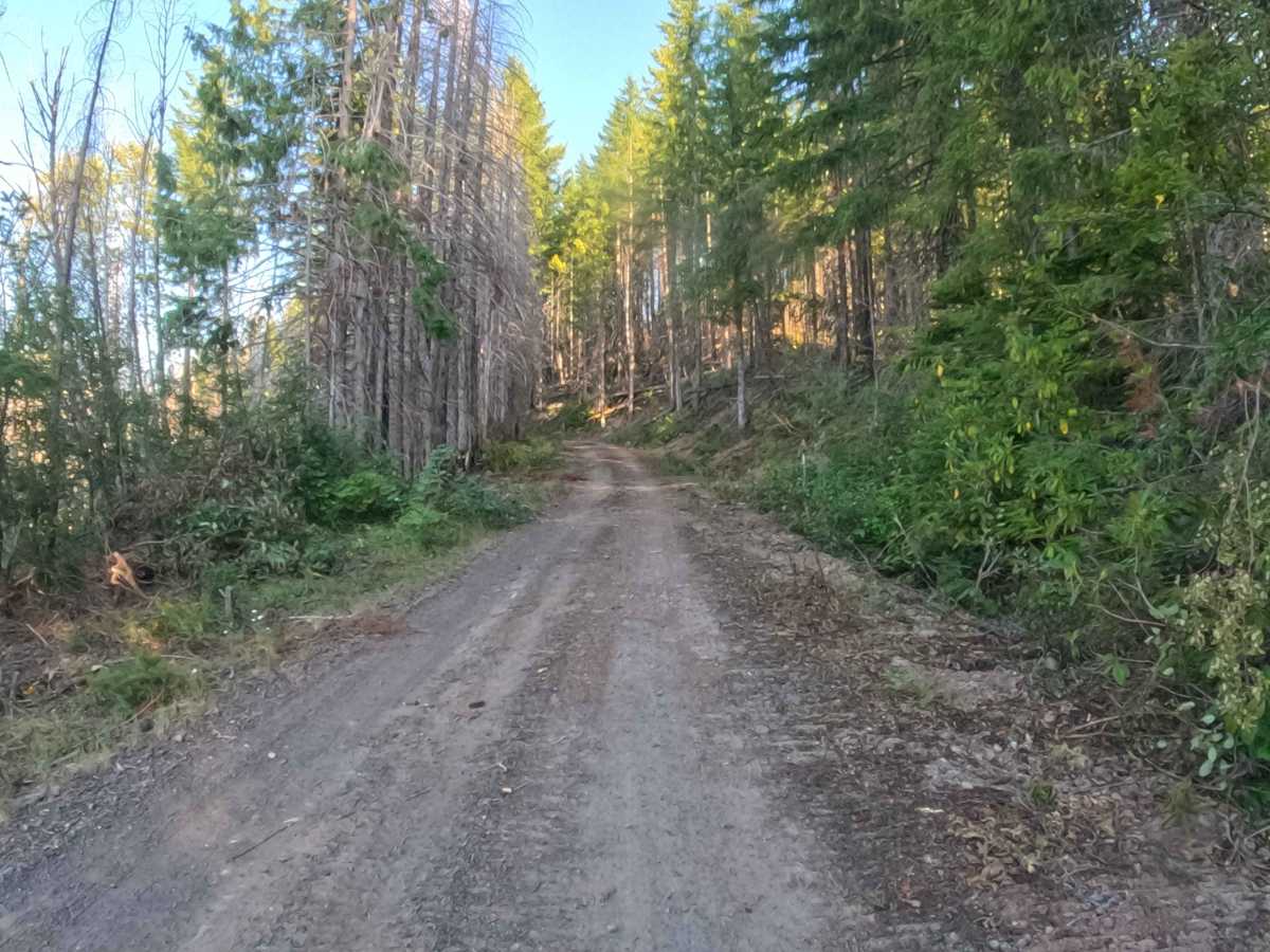 Upper Hawkins - FS 2236000 photo 5