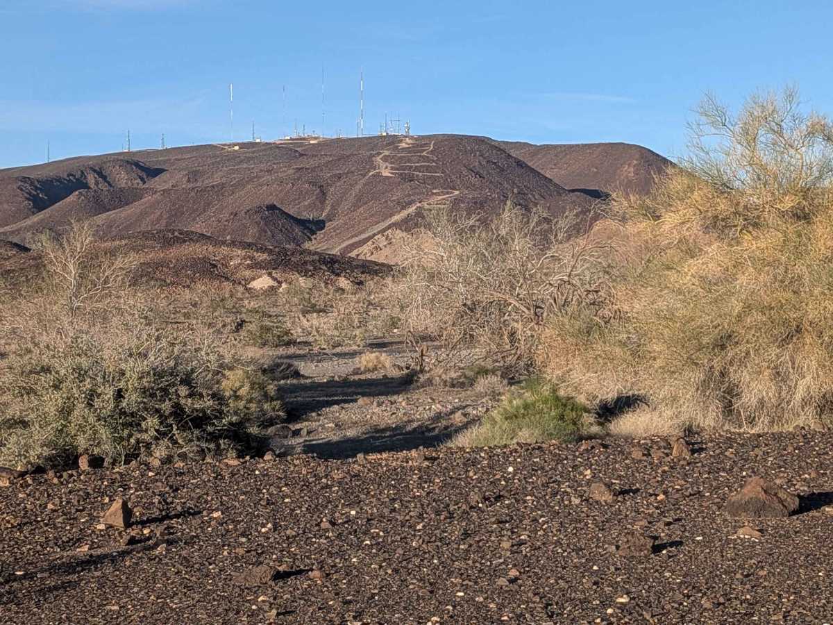BLM 751 photo 2