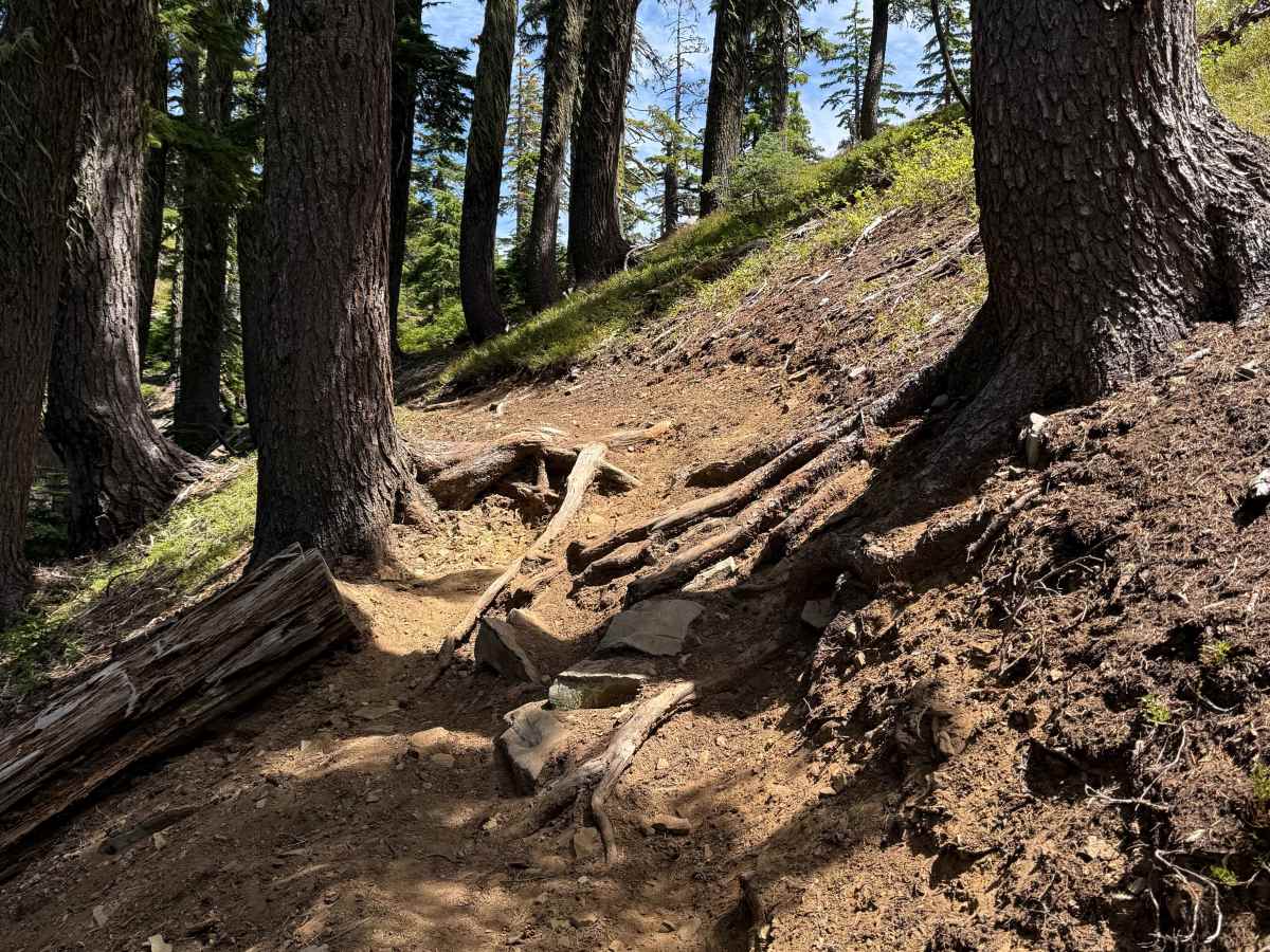 Indigo Extension Trail   trail photo