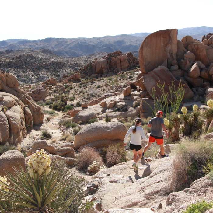 Near Mastodon Peak Trail