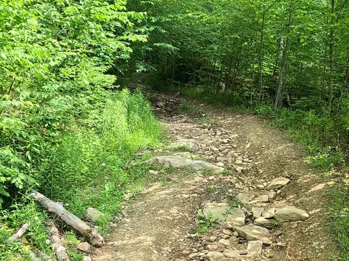 Bad Day to be a Skid Plate trail photo