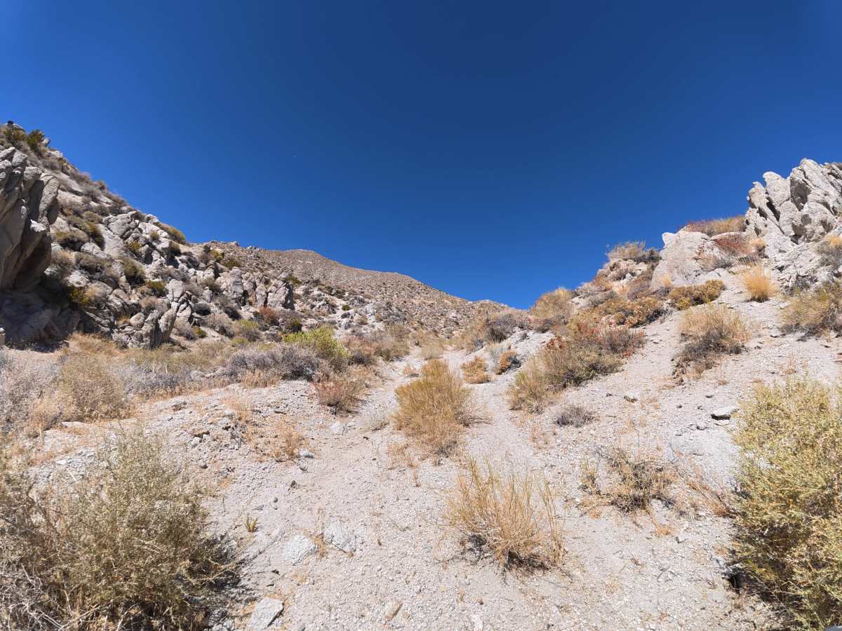 BLM 541 trail photo