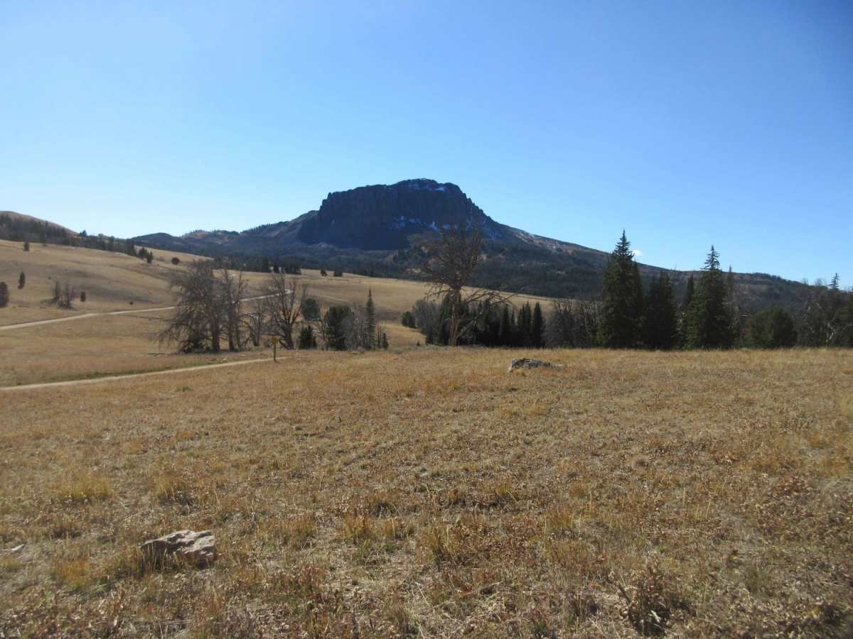 Standard Creek Rd w/Wolverine Basin photo 4