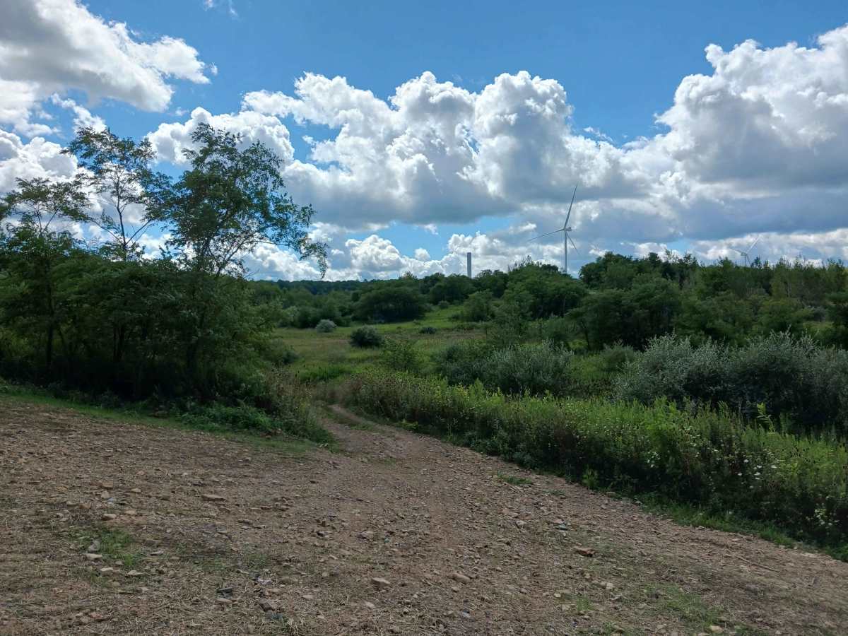 Valley View - Rock Run Recreation Area photo 2