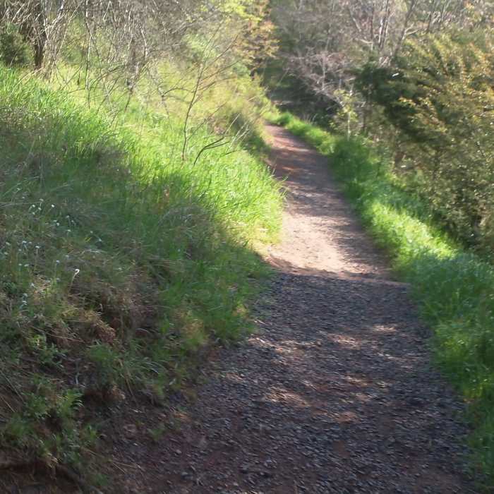 On the way to the footbridge. Running up this path is more fun than down.... Near Stone Bridge Loop Trail