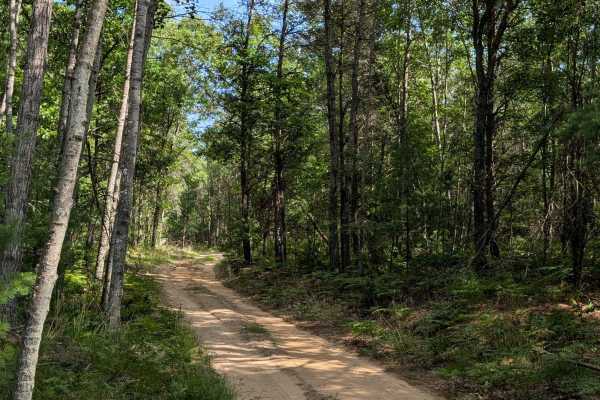 Plains Creek Trail