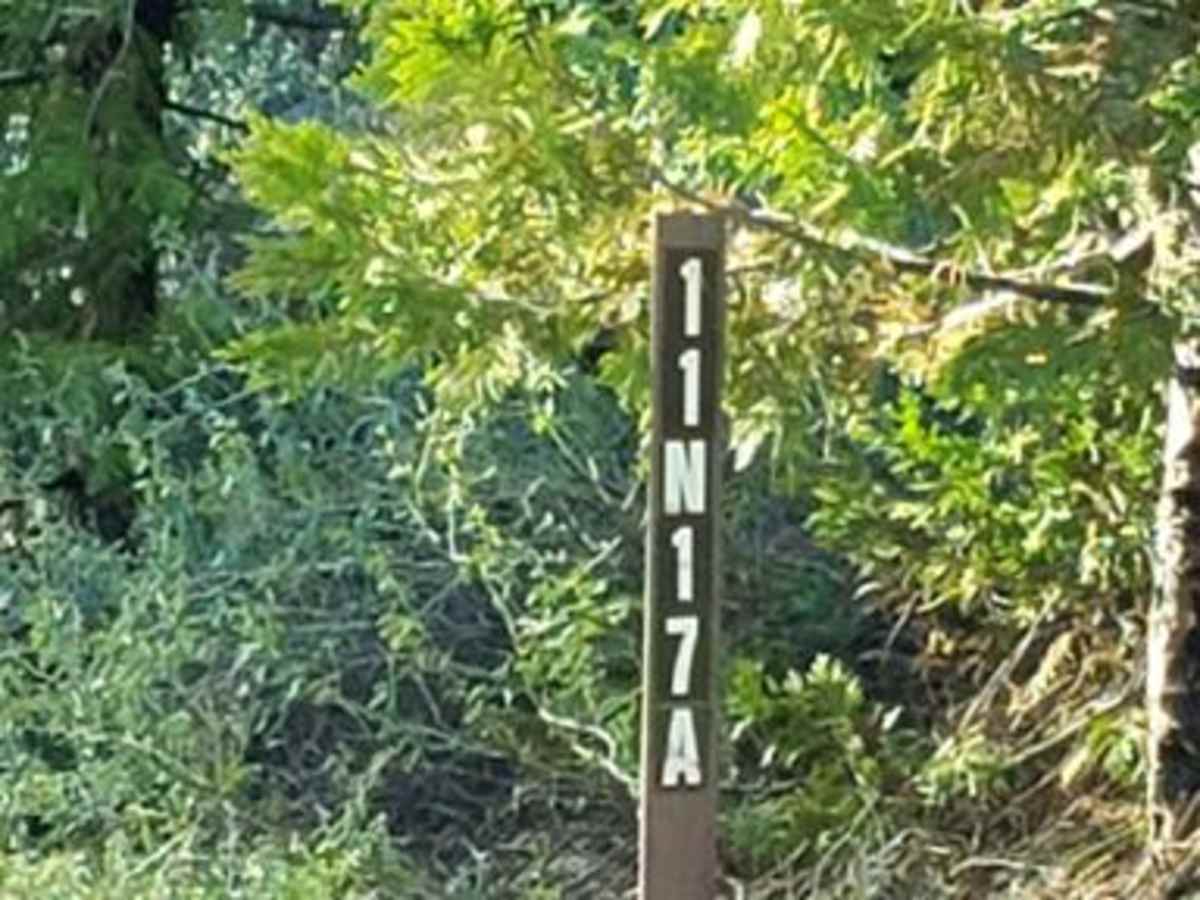 Wrights Lake Rd - 11N26A photo 5