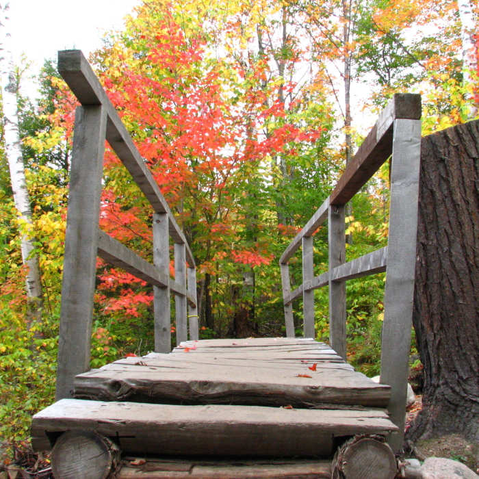 Near Johannsen-Sommets-Grand Brule