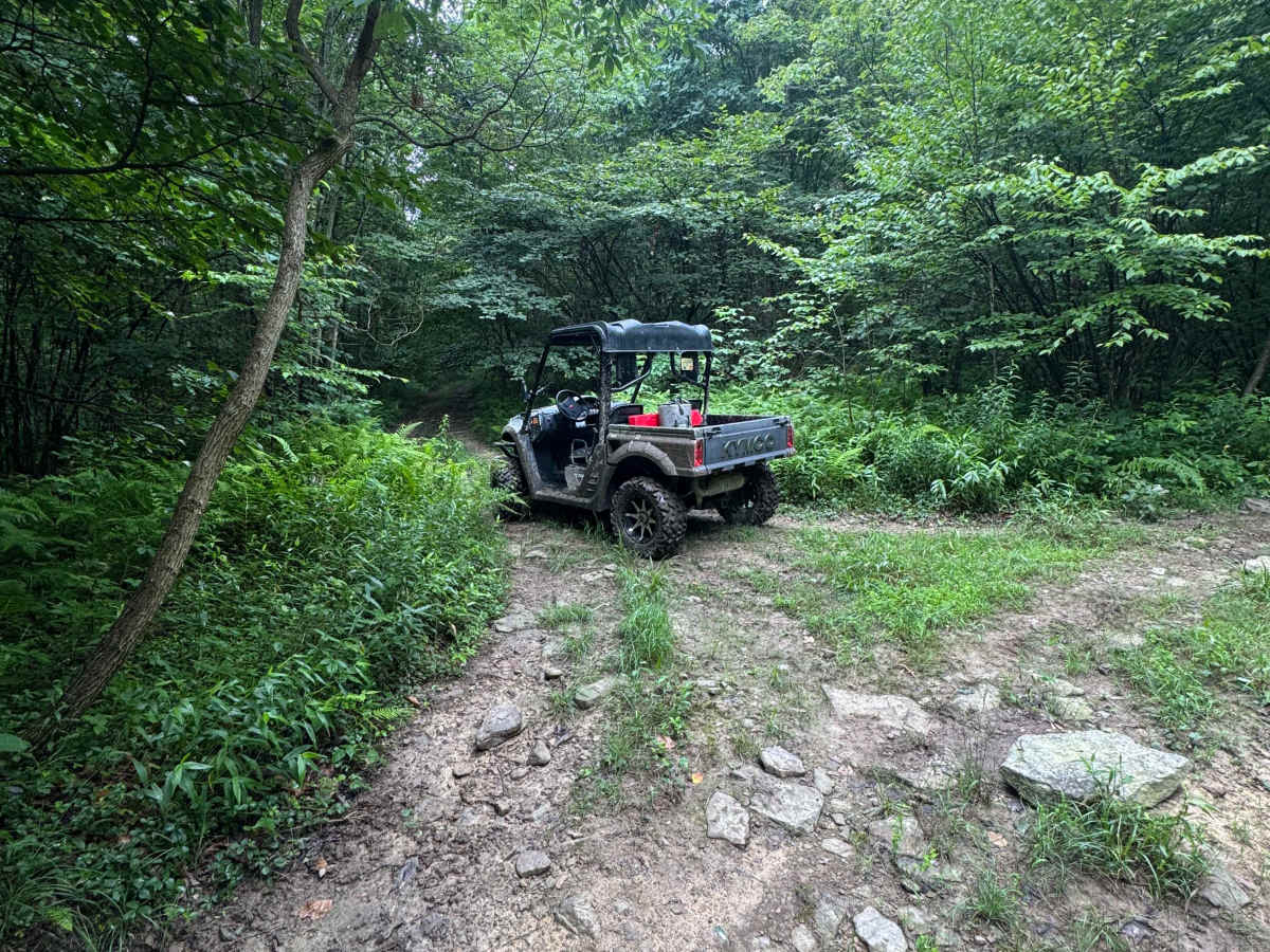 Trail 58 trail photo