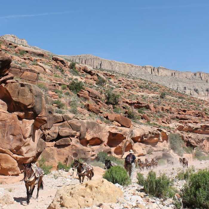 Near Mooney + Beaver Falls Hike from Supai