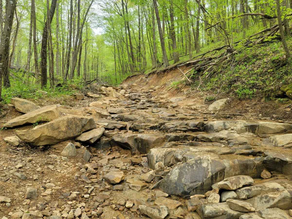 Trail 26 - Rock Solid photo 4