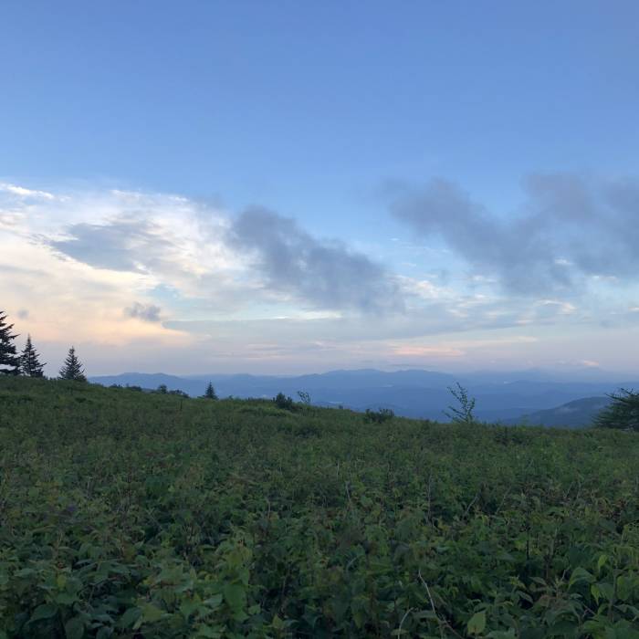 Near Mt. Rogers Out-and-Back